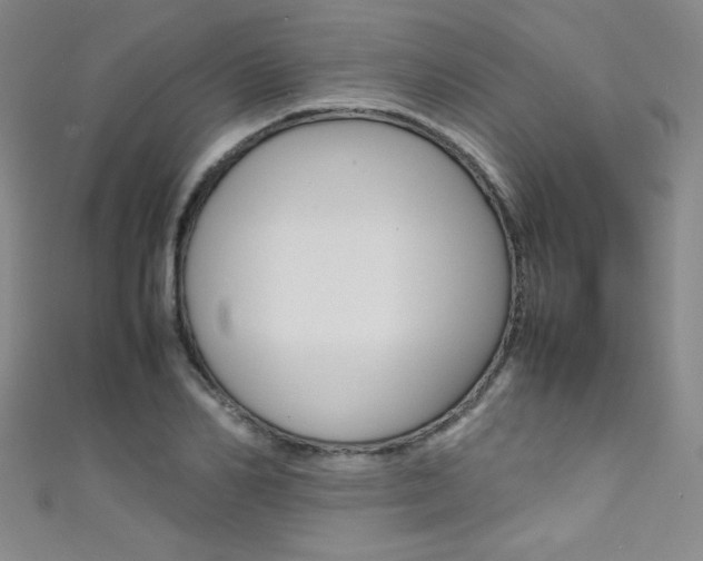 X0000111490982200907141059