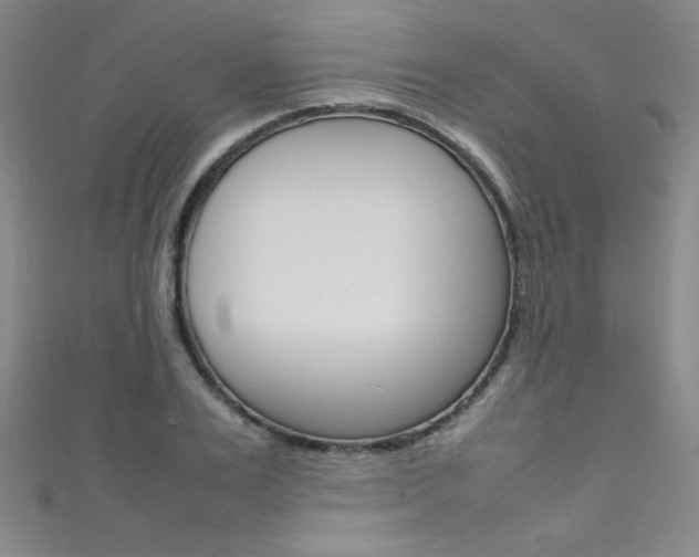 X0000111490983200907141059