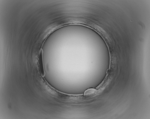 X0000111490985200907141059