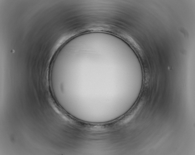 X0000111490986200907141059