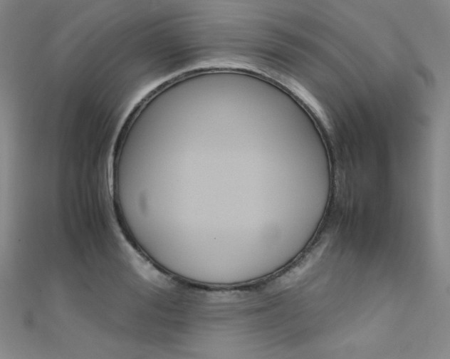 X0000111490988200907141059