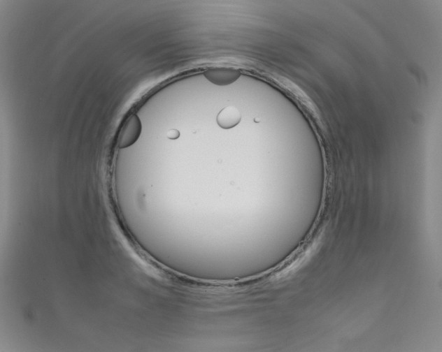 X0000111490989200907141059