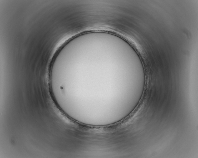 X0000111490990200907141059