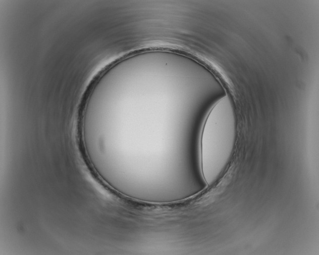 X0000111490991200907141059