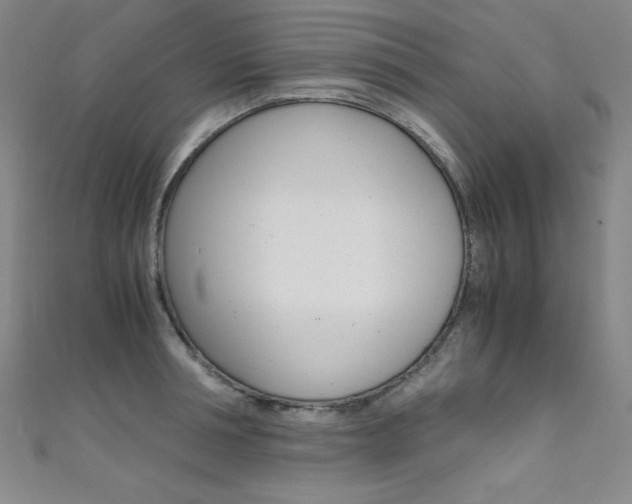 X0000111490994200907141059