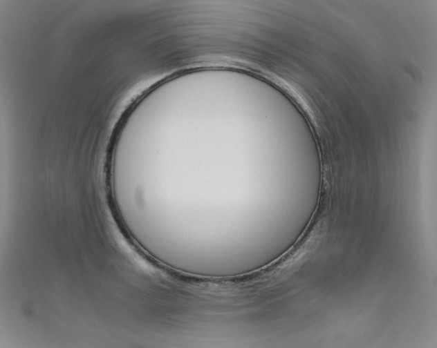X0000111490995200907141059