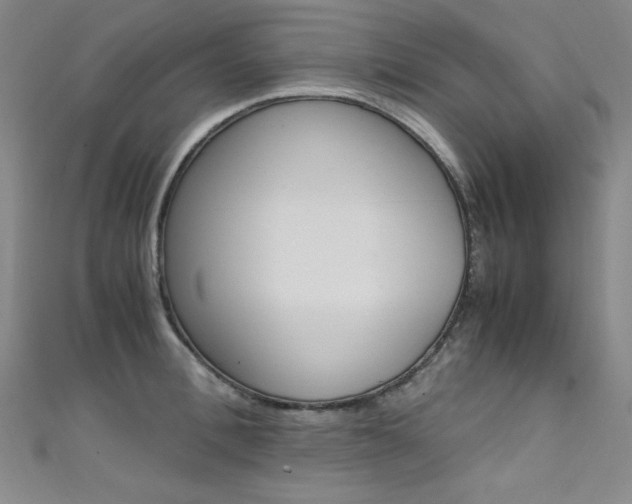 X0000111490996200907141059