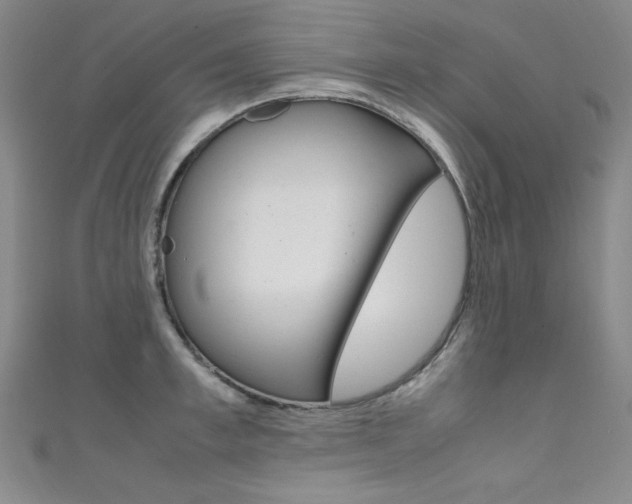 X0000111490997200907141059