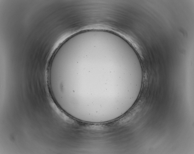 X0000111490998200907141059