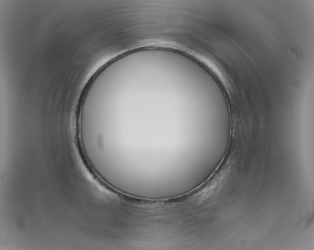 X0000111490999200907141059
