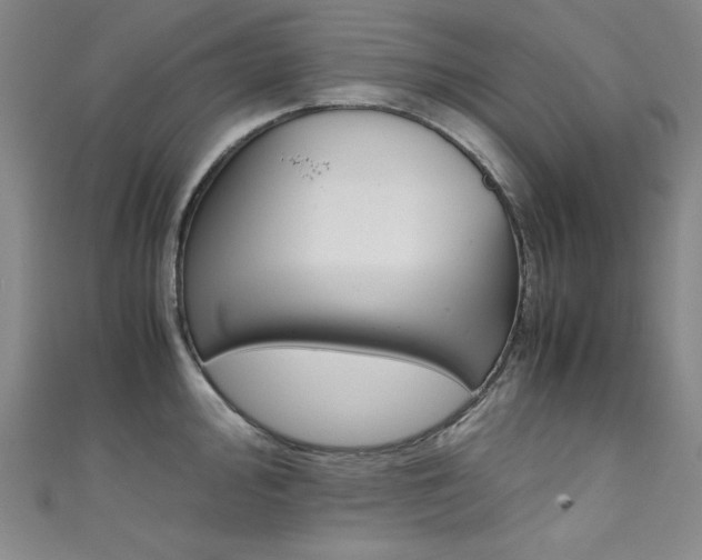 X0000111491000200907141059