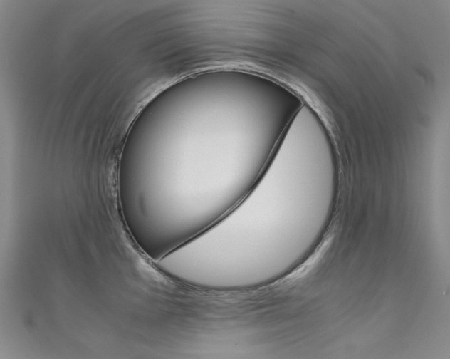 X0000111491001200907141059