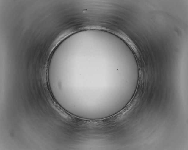 X0000111491002200907141059