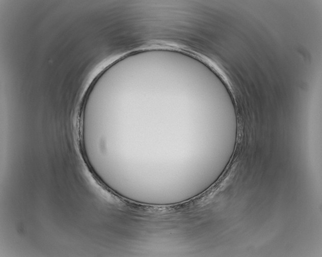 X0000111491003200907141059
