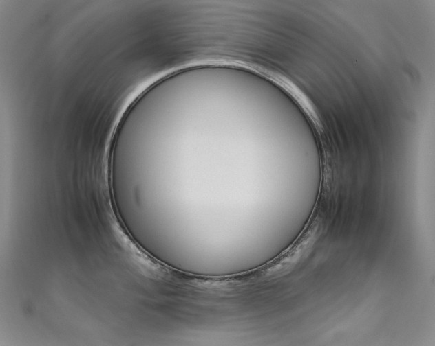 X0000111491004200907141059