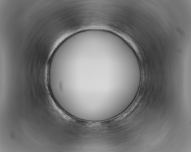 X0000111491006200907141059