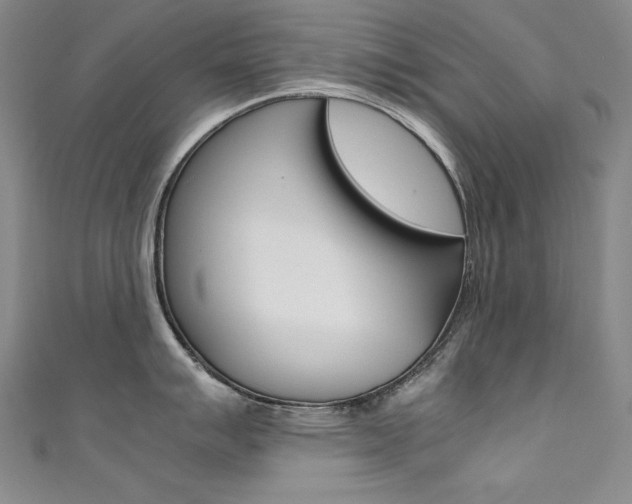 X0000111491007200907141059