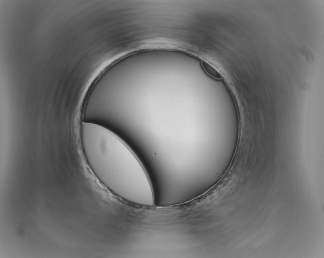 X0000111491008200907141059