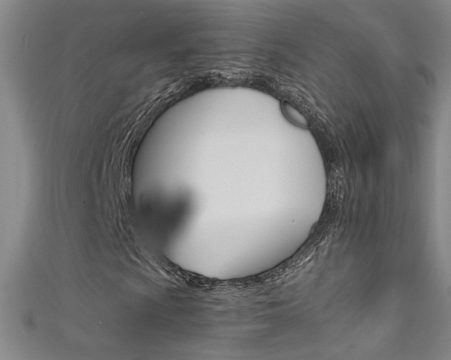 X0000111491009200907141059