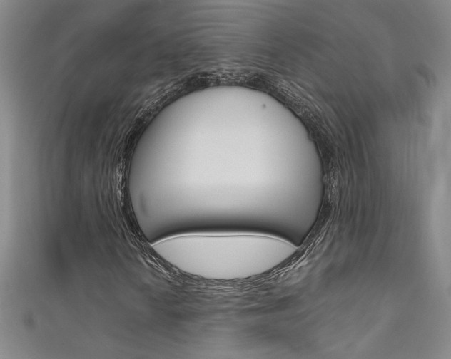 X0000111491010200907141059