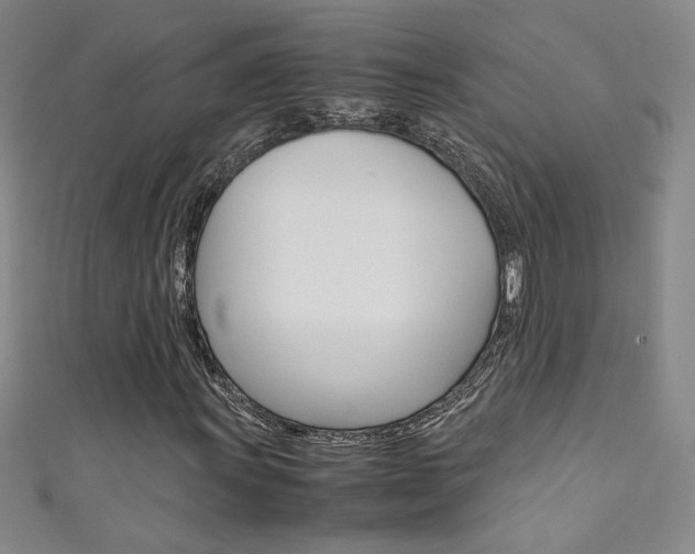 X0000111491011200907141059