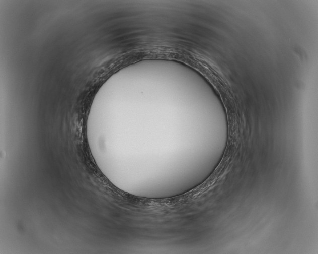 X0000111491013200907141059