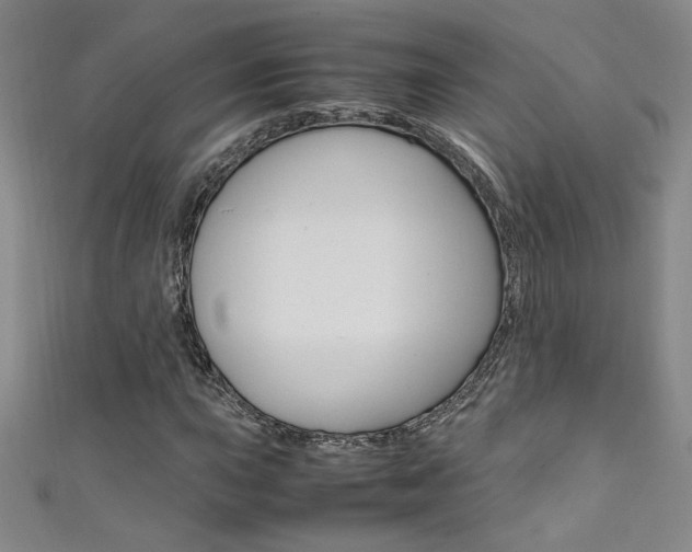 X0000111491015200907141059