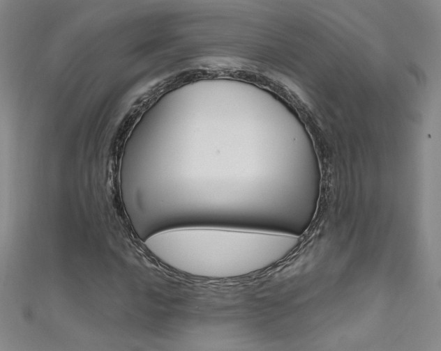 X0000111491016200907141059