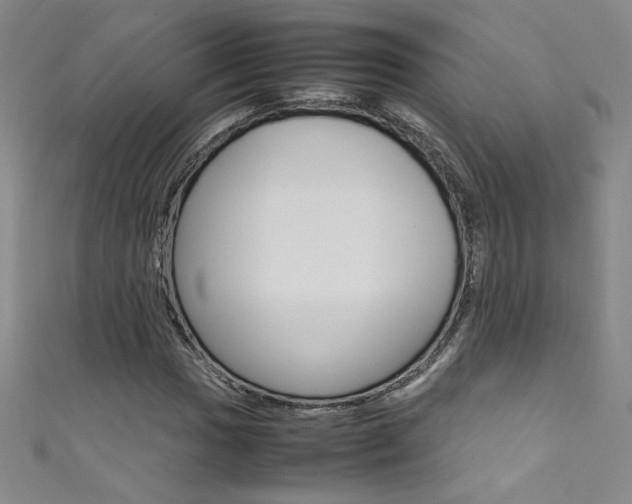 X0000111491017200907141059