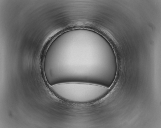 X0000111491018200907141059