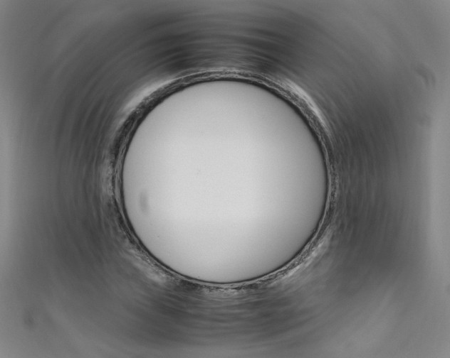X0000111491019200907141059
