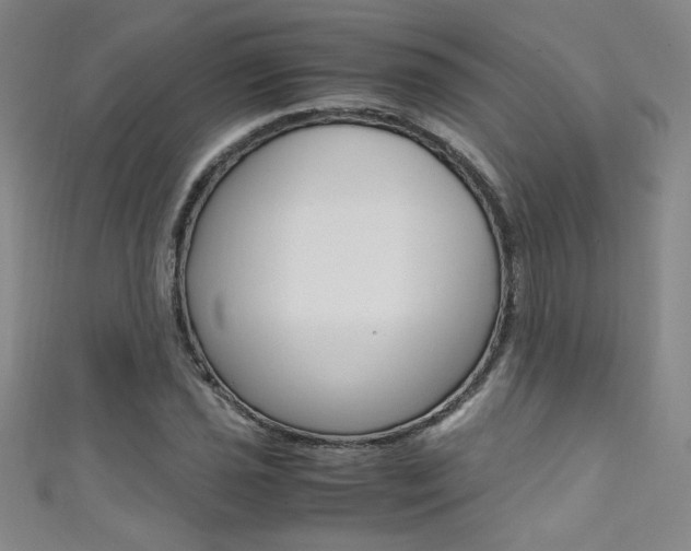 X0000111491021200907141059