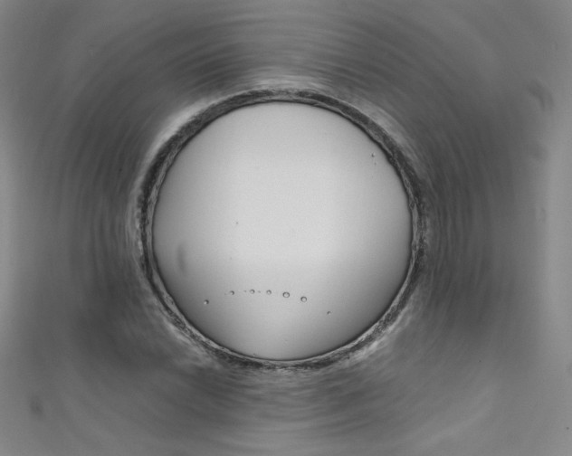 X0000111491022200907141059