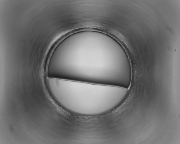 X0000111491024200907141059