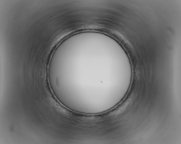 X0000111491025200907141059