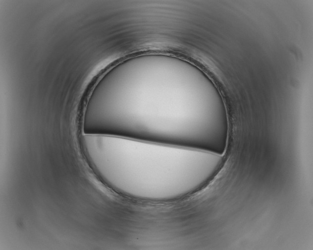 X0000111491026200907141059