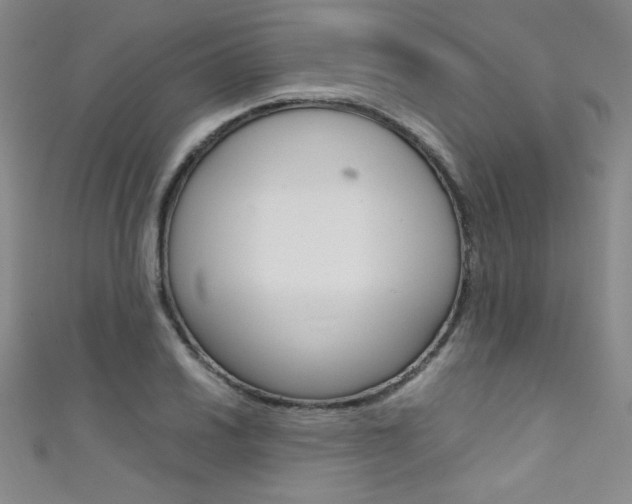 X0000111491030200907141059