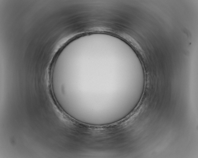 X0000111491031200907141059