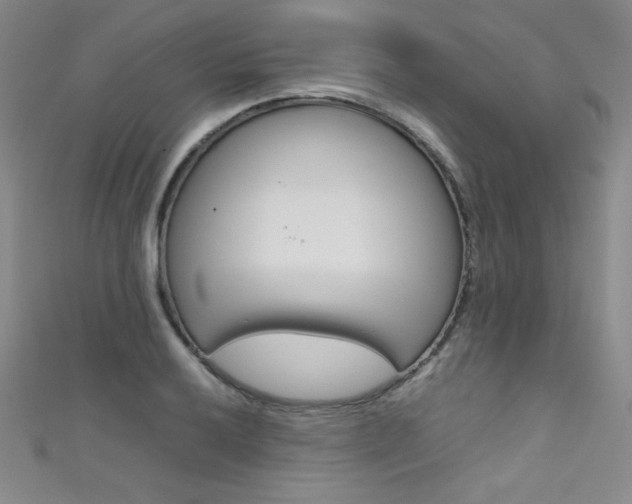 X0000111491032200907141059
