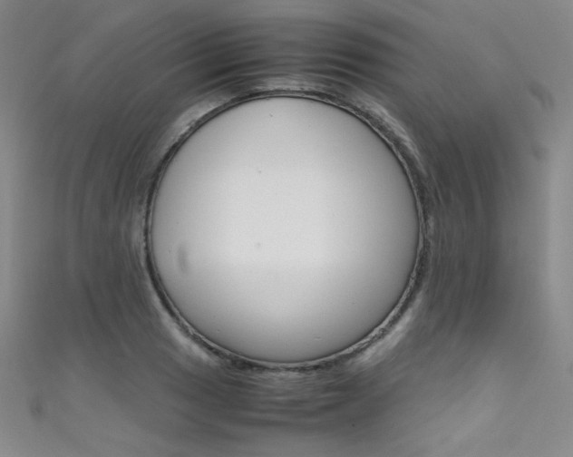 X0000111491033200907141059
