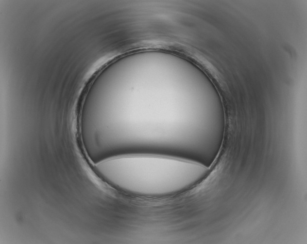 X0000111491034200907141059