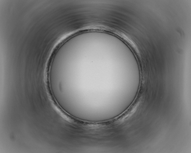 X0000111491037200907141059