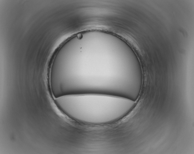 X0000111491038200907141059