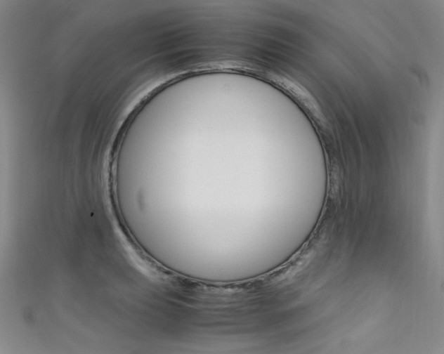 X0000111491039200907141059