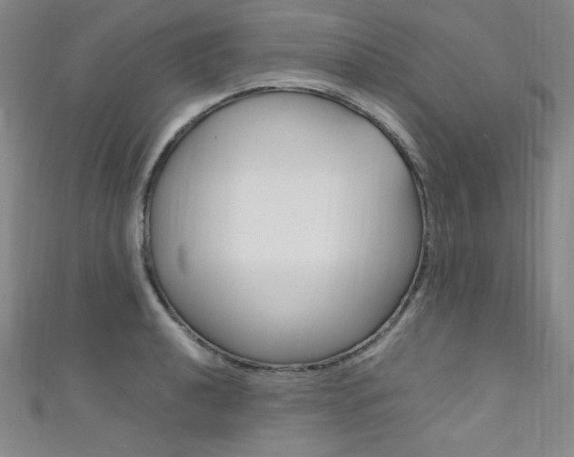 X0000111491040200907141059