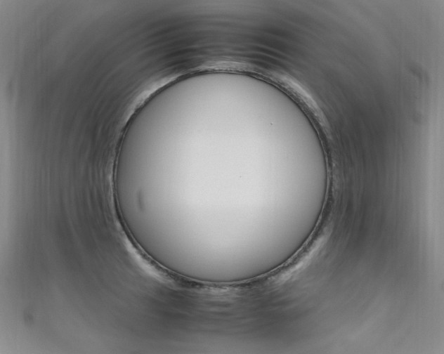 X0000111491041200907141059