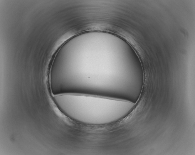 X0000111491042200907141059