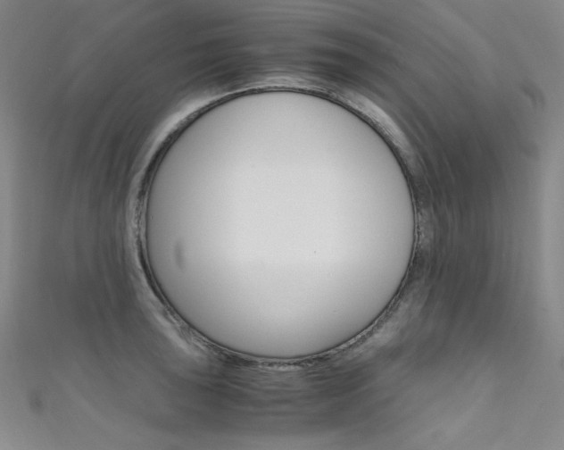 X0000111491043200907141059