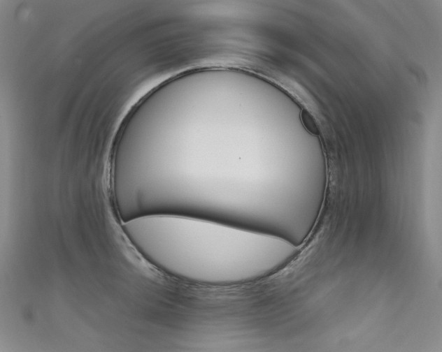 X0000111491044200907141059