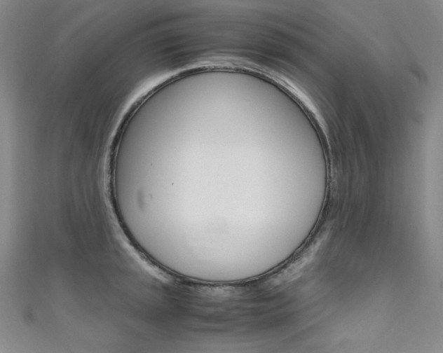 X0000111491045200907141059